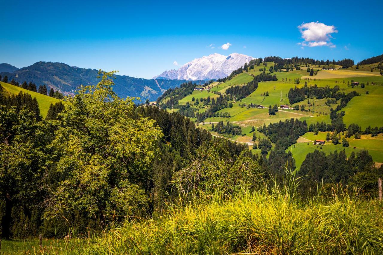 Hallmoosgut Sankt Johann im Pongau Exterior photo